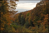 DSC_3630.JPG