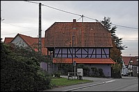 DSC_3654DG.jpg