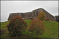 DSC_3656G.jpg