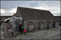 DSC_3766DG.jpg