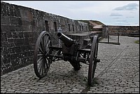 DSC_3768.JPG
