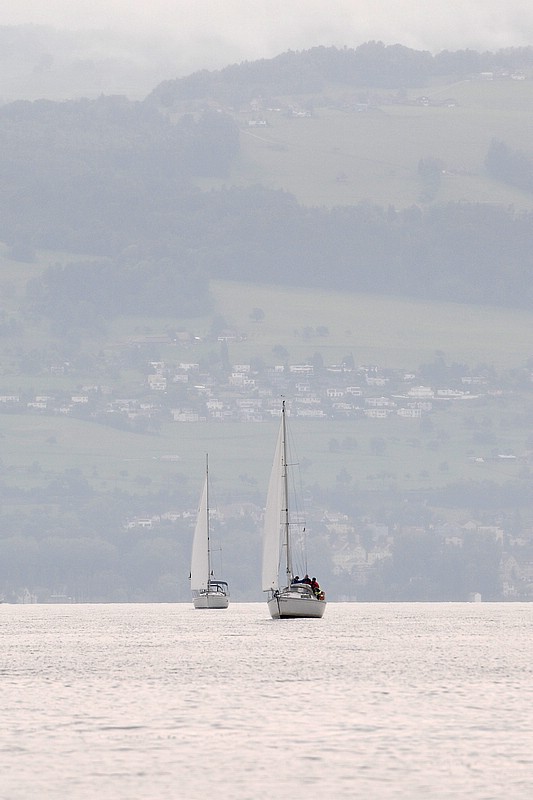 DSC_8008CD.jpg