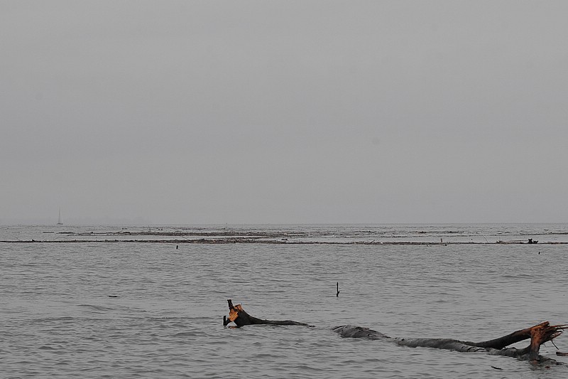 DSC_8014C.jpg