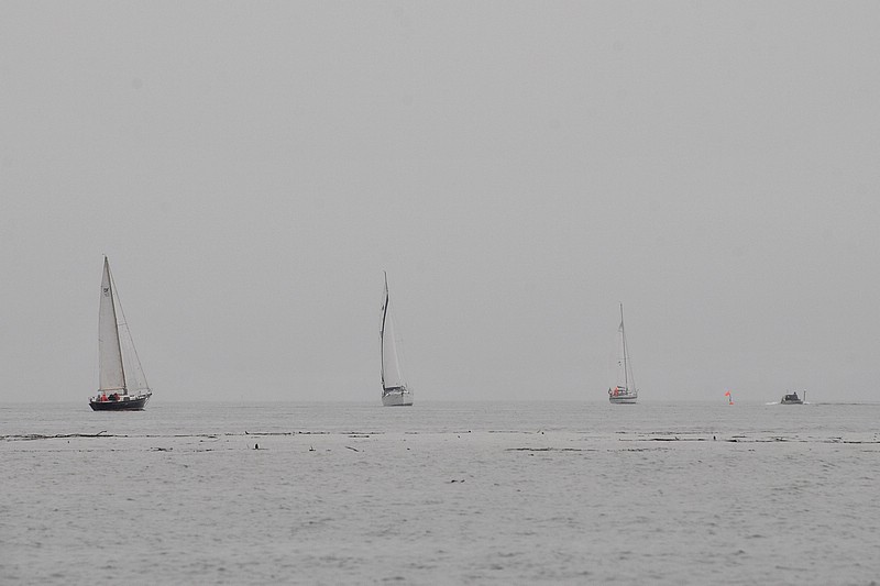 DSC_8024CD.jpg