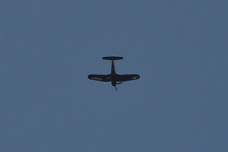 DSC_8063C.jpg