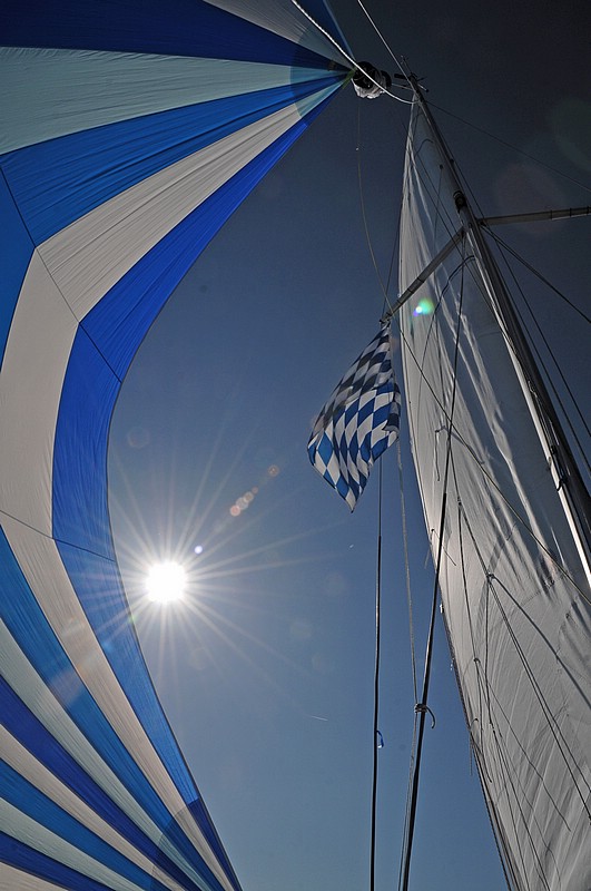 DSC_8230E.jpg
