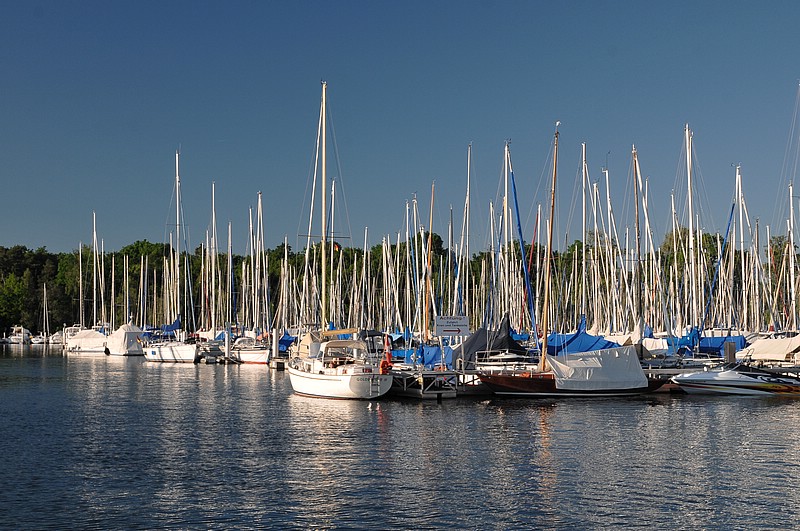 DSC_8268.JPG