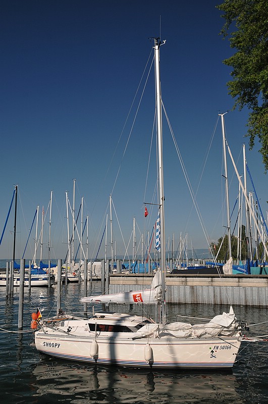 DSC_8361.JPG