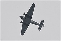 DSC_7992C.jpg