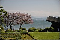 DSC_8160.JPG
