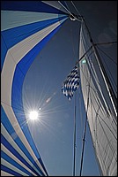 DSC_8230E.jpg