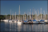 DSC_8268.JPG