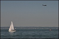 DSC_8300C.jpg