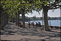 DSC_8342E.jpg