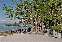 DSC_8355E.jpg
