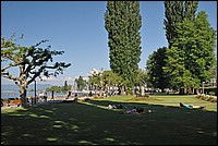 DSC_8356G.jpg