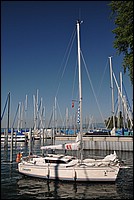 DSC_8361.JPG