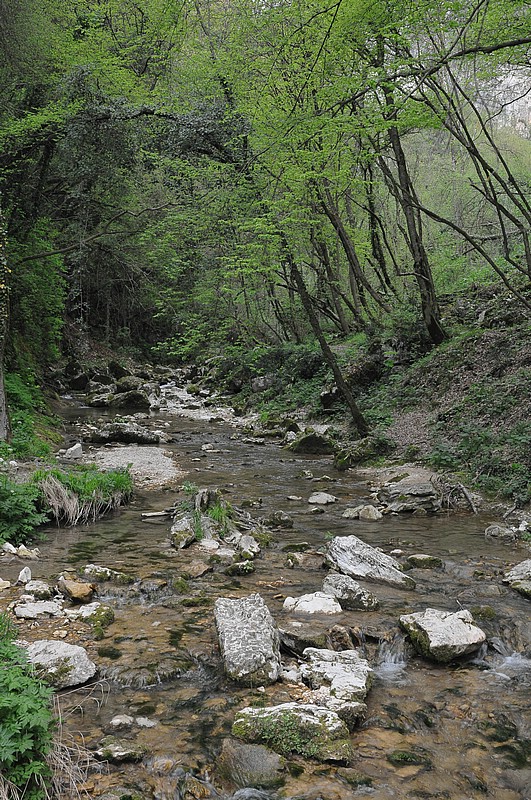 DSC_6267.JPG