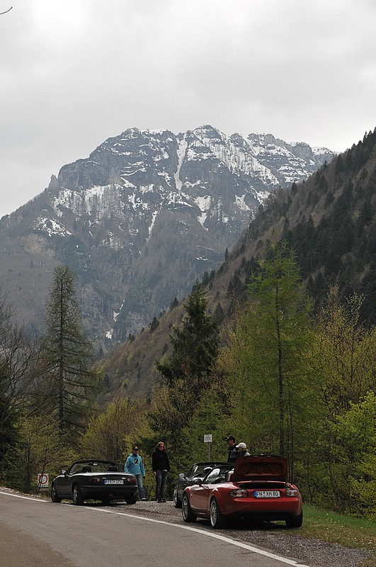 DSC_6459.JPG