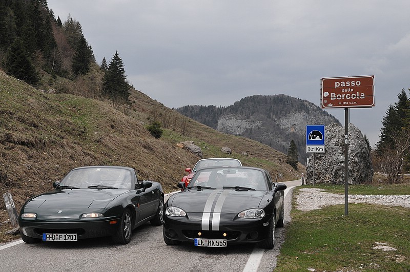 DSC_6462.JPG