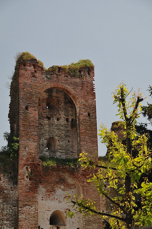 DSC_6557.JPG
