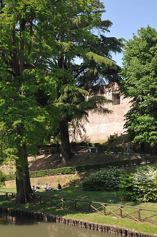 DSC_6595.JPG