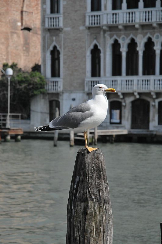 DSC_6904.JPG