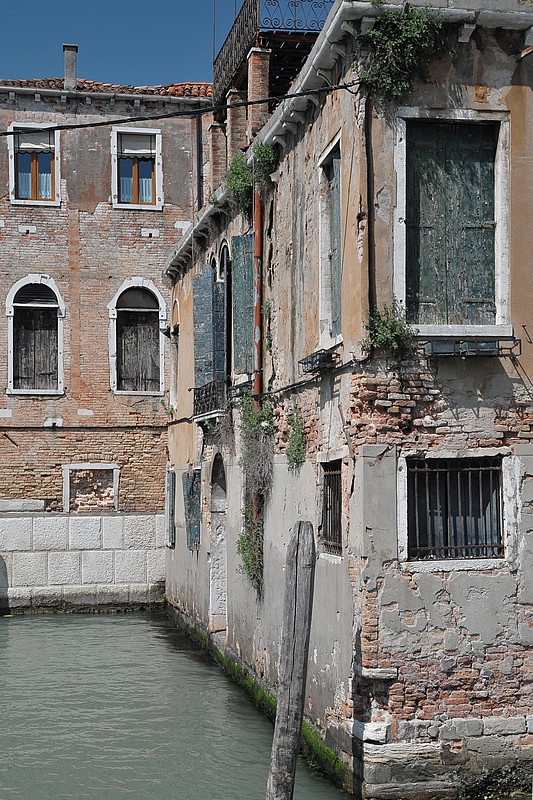 DSC_6953D.jpg