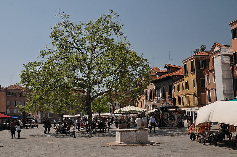DSC_6972.JPG
