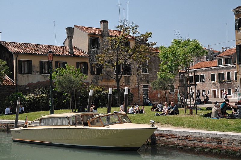 DSC_7029.JPG