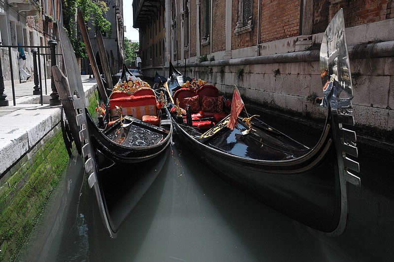 DSC_7091.JPG