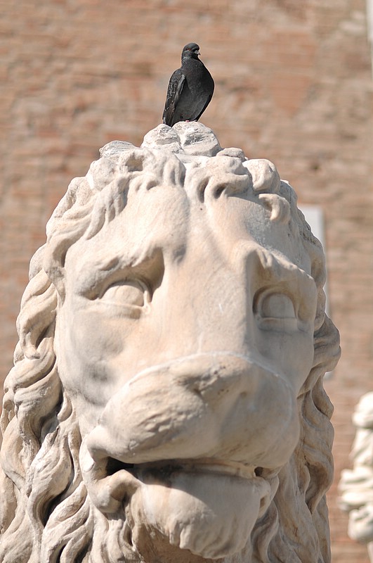 DSC_7190.JPG