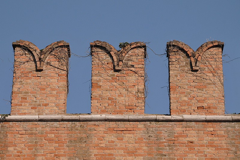 DSC_7255DC.jpg