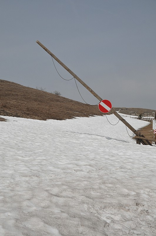 DSC_7493.JPG