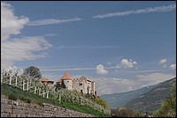 DSC_6066C.jpg