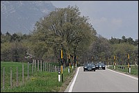 DSC_6246C.jpg