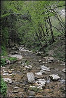 DSC_6267.JPG
