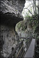 DSC_6297.JPG