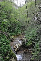 DSC_6299.JPG