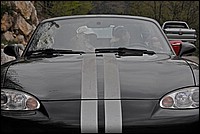 DSC_6448E.jpg