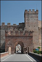 DSC_6549D.jpg