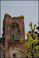 DSC_6557.JPG