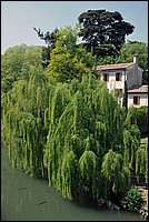 DSC_6565E.jpg