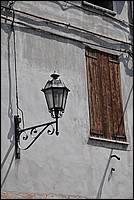 DSC_6588.JPG