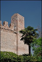 DSC_6591.JPG