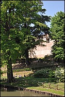 DSC_6595.JPG