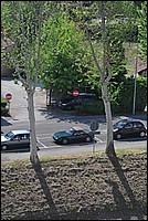 DSC_6636.JPG