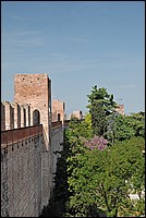 DSC_6637.JPG