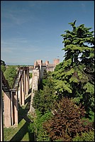 DSC_6642.JPG