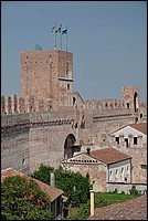 DSC_6648.JPG